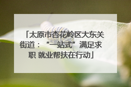 太原市杏花岭区大东关街道：“一站式”满足求职 就业帮扶在行动