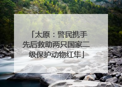 太原：警民携手 先后救助两只国家二级保护动物红隼