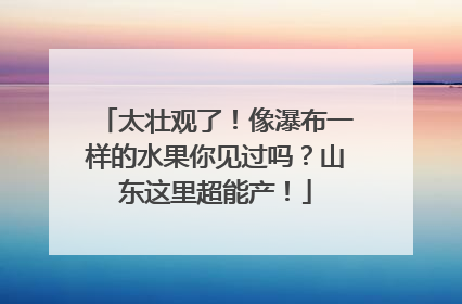 太壮观了！像瀑布一样的水果你见过吗？山东这里超能产！