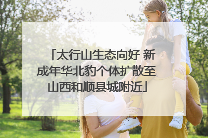太行山生态向好 新成年华北豹个体扩散至山西和顺县城附近