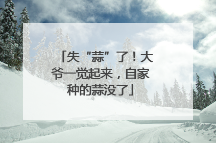 失“蒜”了！大爷一觉起来，自家种的蒜没了