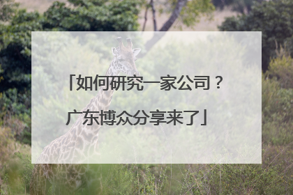 如何研究一家公司？广东博众分享来了