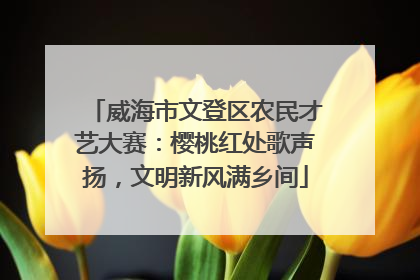 威海市文登区农民才艺大赛：樱桃红处歌声扬，文明新风满乡间