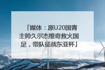 媒体：原U20国青主帅久尔杰维奇救火国足，带队征战东亚杯