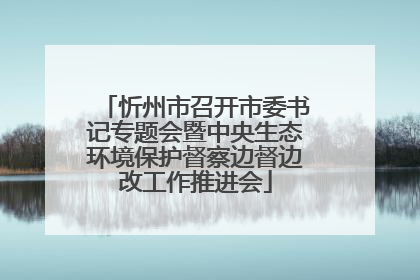 忻州市召开市委书记专题会暨中央生态环境保护督察边督边改工作推进会
