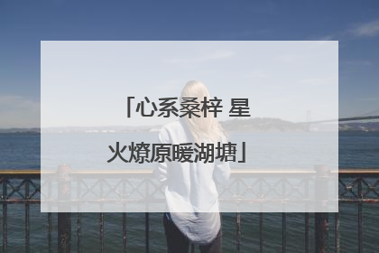 心系桑梓 星火燎原暖湖塘