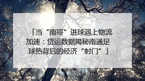 当“南哥”进球遇上物流加速：货运数据揭秘南通足球热背后的经济“射门”
