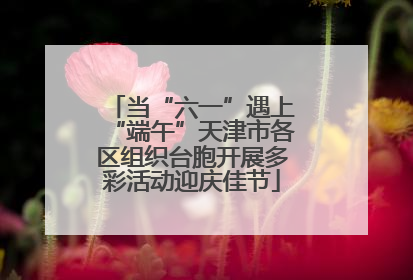 当“六一”遇上“端午”天津市各区组织台胞开展多彩活动迎庆佳节