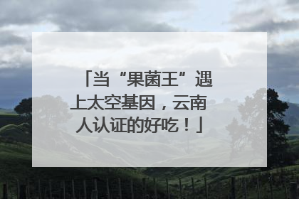 当“果菌王”遇上太空基因，云南人认证的好吃！