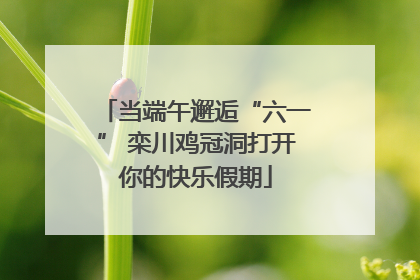 当端午邂逅“六一” 栾川鸡冠洞打开你的快乐假期