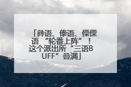 彝语、傣语、傈僳语 “轮番上阵”！这个派出所“三语BUFF”叠满