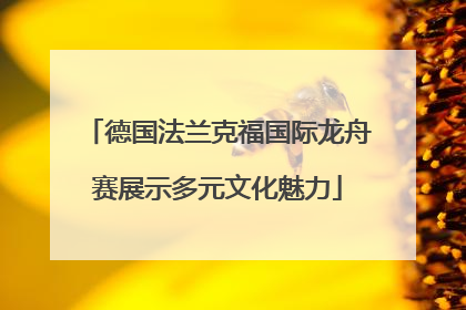 德国法兰克福国际龙舟赛展示多元文化魅力