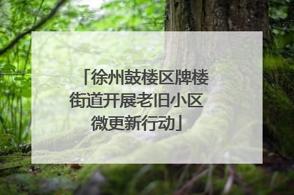 徐州鼓楼区牌楼街道开展老旧小区微更新行动