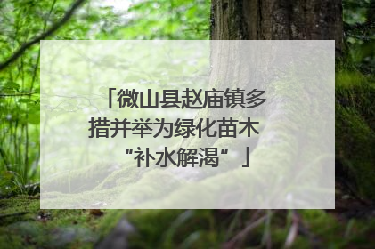 微山县赵庙镇多措并举为绿化苗木“补水解渴”