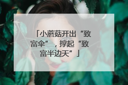 小蘑菇开出“致富伞”，撑起“致富半边天”