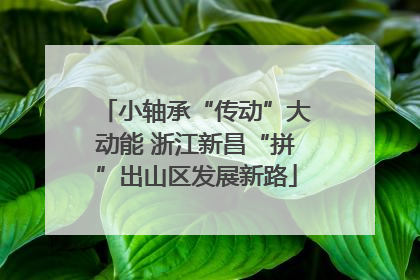小轴承“传动”大动能 浙江新昌“拼”出山区发展新路