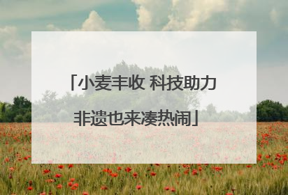 小麦丰收 科技助力 非遗也来凑热闹