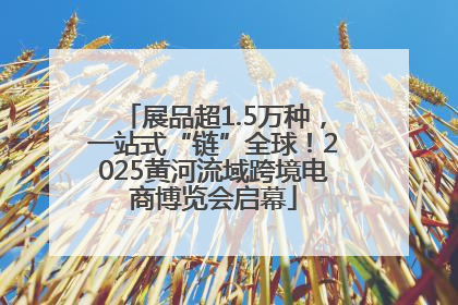展品超1.5万种，一站式“链”全球！2025黄河流域跨境电商博览会启幕