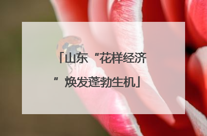 山东“花样经济”焕发蓬勃生机