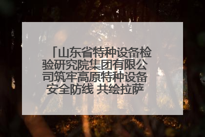 山东省特种设备检验研究院集团有限公司筑牢高原特种设备安全防线 共绘拉萨美好生活画卷