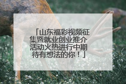 山东福彩视频征集暨就业创业推介活动火热进行中期待有想法的你！