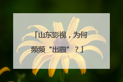 山东影视，为何频频“出圈”？