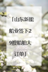 山东新能船业签下29艘船舶大订单