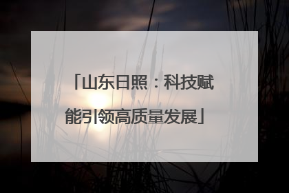 山东日照：科技赋能引领高质量发展