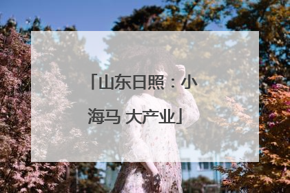 山东日照：小海马 大产业