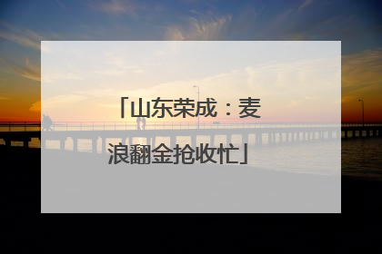 山东荣成：麦浪翻金抢收忙