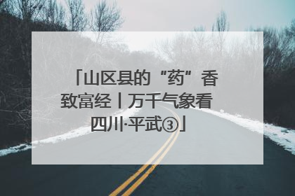 山区县的“药”香致富经丨万千气象看四川·平武③