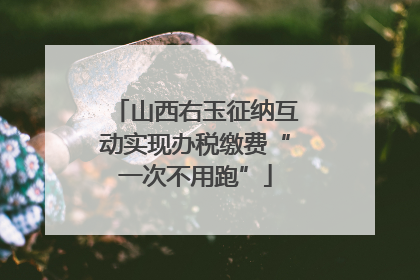山西右玉征纳互动实现办税缴费“一次不用跑”