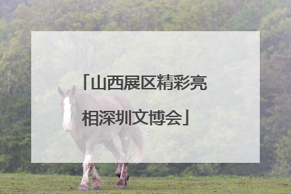 山西展区精彩亮相深圳文博会