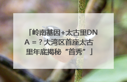 岭南基因+太古里DNA =？大湾区首座太古里年底揭秘“首秀”