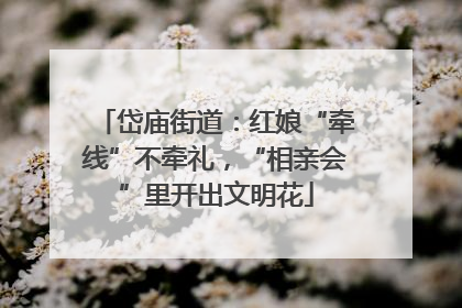 岱庙街道：红娘“牵线”不牵礼，“相亲会”里开出文明花