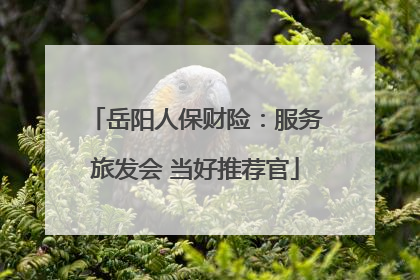 岳阳人保财险：服务旅发会 当好推荐官