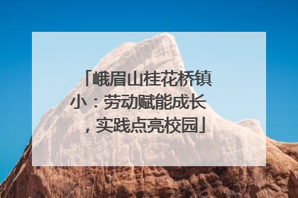 峨眉山桂花桥镇小：劳动赋能成长，实践点亮校园