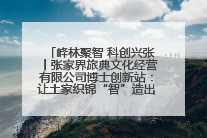 峰林聚智 科创兴张丨张家界旅典文化经营有限公司博士创新站：让土家织锦“智”造出非遗新传奇
