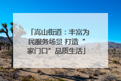 嵩山街道：丰富为民服务场景 打造“家门口”品质生活