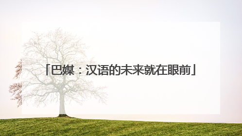 巴媒：汉语的未来就在眼前