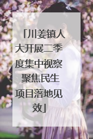 川姜镇人大开展二季度集中视察 聚焦民生项目落地见效