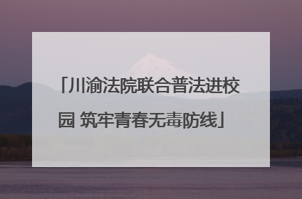 川渝法院联合普法进校园 筑牢青春无毒防线