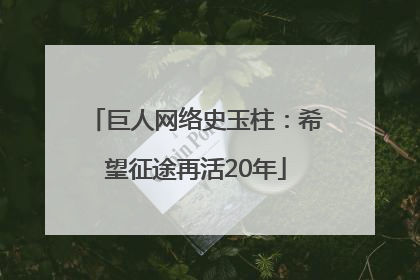 巨人网络史玉柱：希望征途再活20年