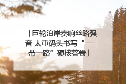 巨轮泊岸奏响丝路强音 太重码头书写“一带一路”硬核答卷