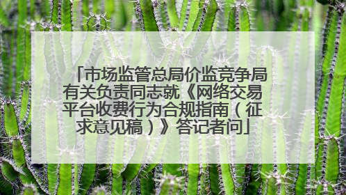 市场监管总局价监竞争局有关负责同志就《网络交易平台收费行为合规指南（征求意见稿）》答记者问