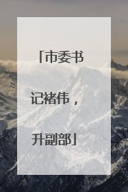 市委书记褚伟，升副部