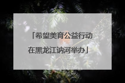 希望美育公益行动在黑龙江讷河举办