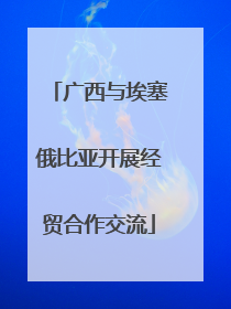 广西与埃塞俄比亚开展经贸合作交流