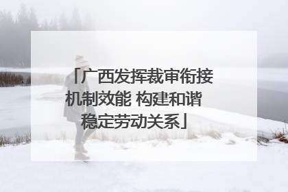 广西发挥裁审衔接机制效能 构建和谐稳定劳动关系