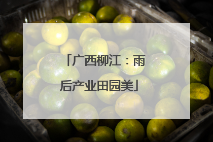 广西柳江：雨后产业田园美